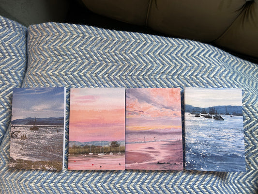 4 Mini Devon Notebooks